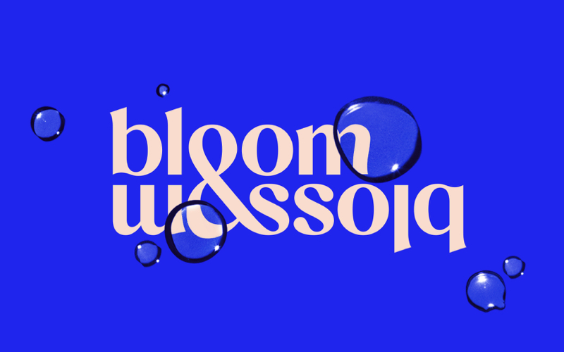 Brand of the Day: Bloom & Blossom